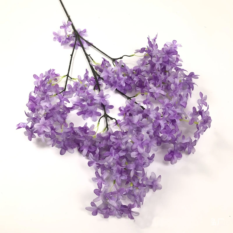 purple lilac blossoms