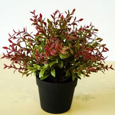 مصنوعی چھوٹے پوٹٹید پلانٹ کے لئے ڈیسک