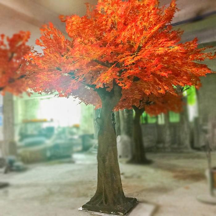 Large Outdoor Japanese Orange Maple Tree